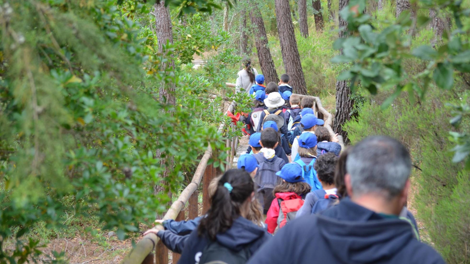 Environmental Education